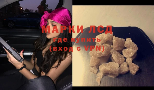 ГАЛЛЮЦИНОГЕННЫЕ ГРИБЫ Вязники