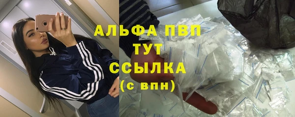 ГАЛЛЮЦИНОГЕННЫЕ ГРИБЫ Вязники