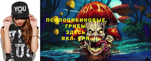 ешки Вязьма