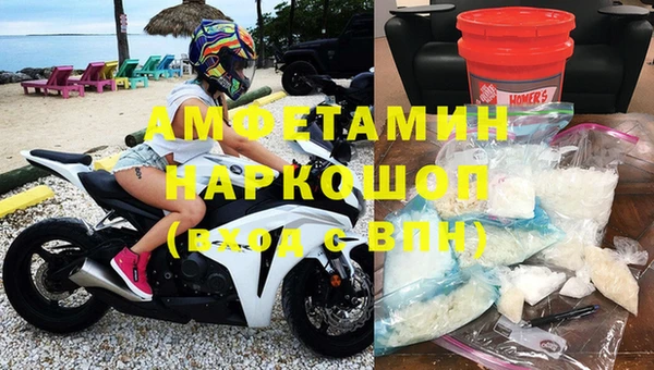 ГАЛЛЮЦИНОГЕННЫЕ ГРИБЫ Вязники