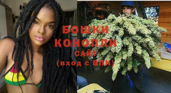 ГАЛЛЮЦИНОГЕННЫЕ ГРИБЫ Вязники